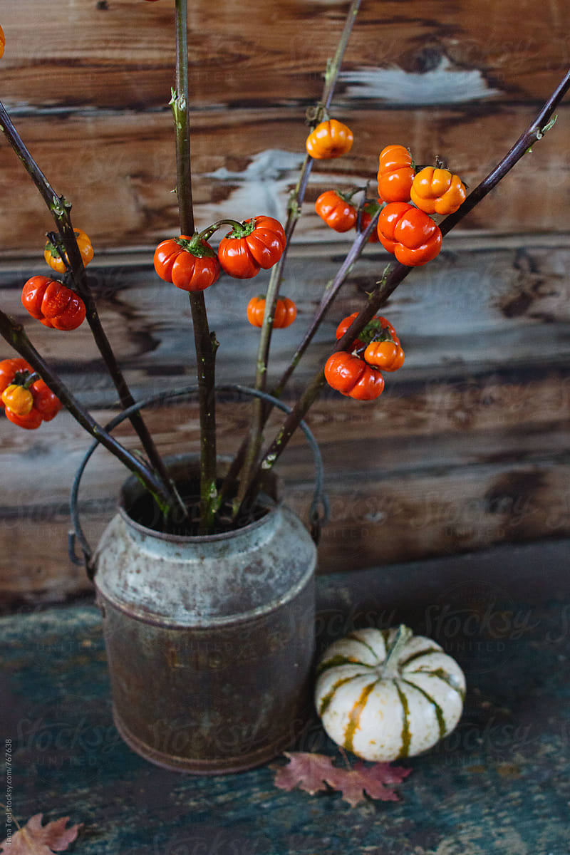 Fall Subscription