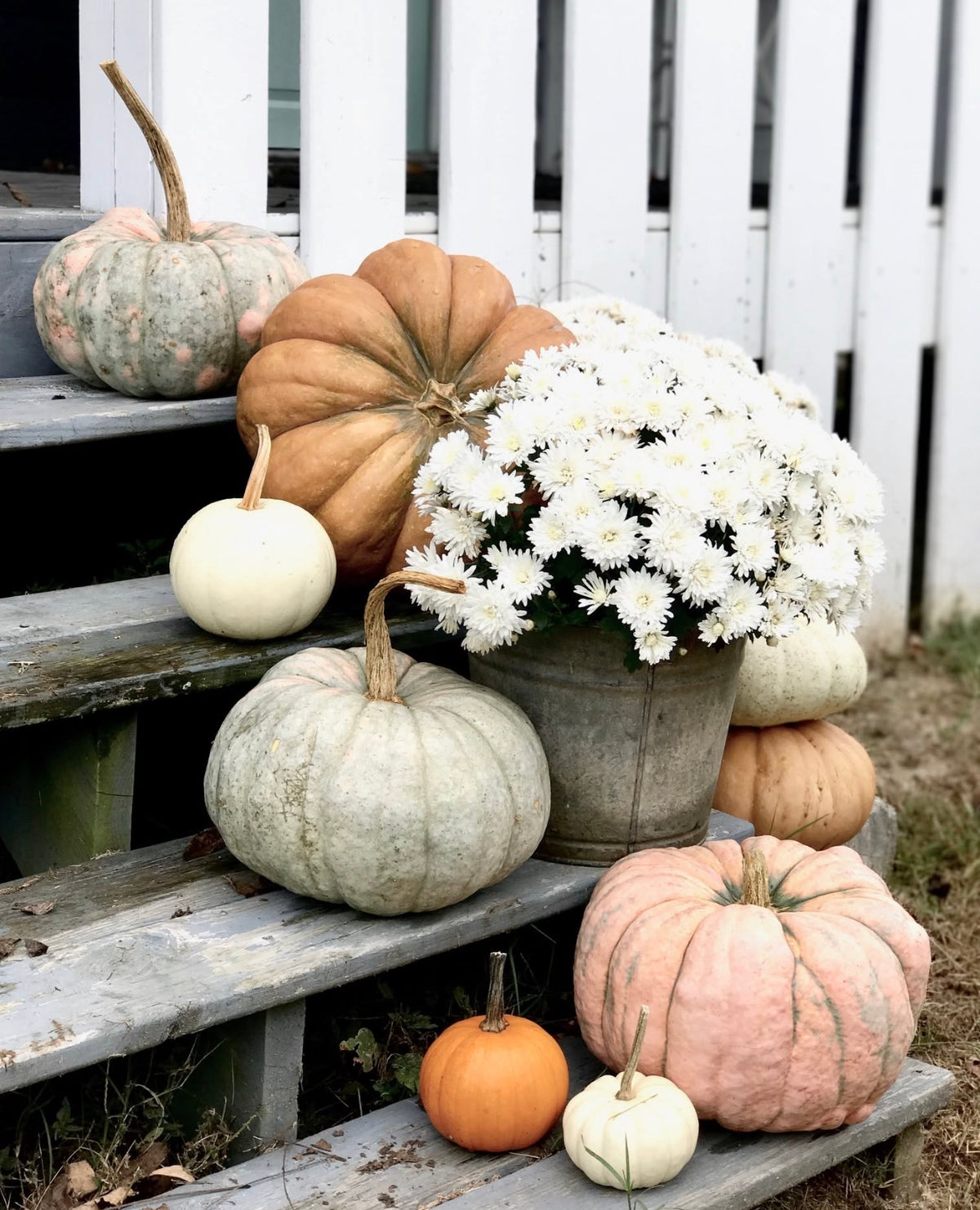 Porch Pumpkins